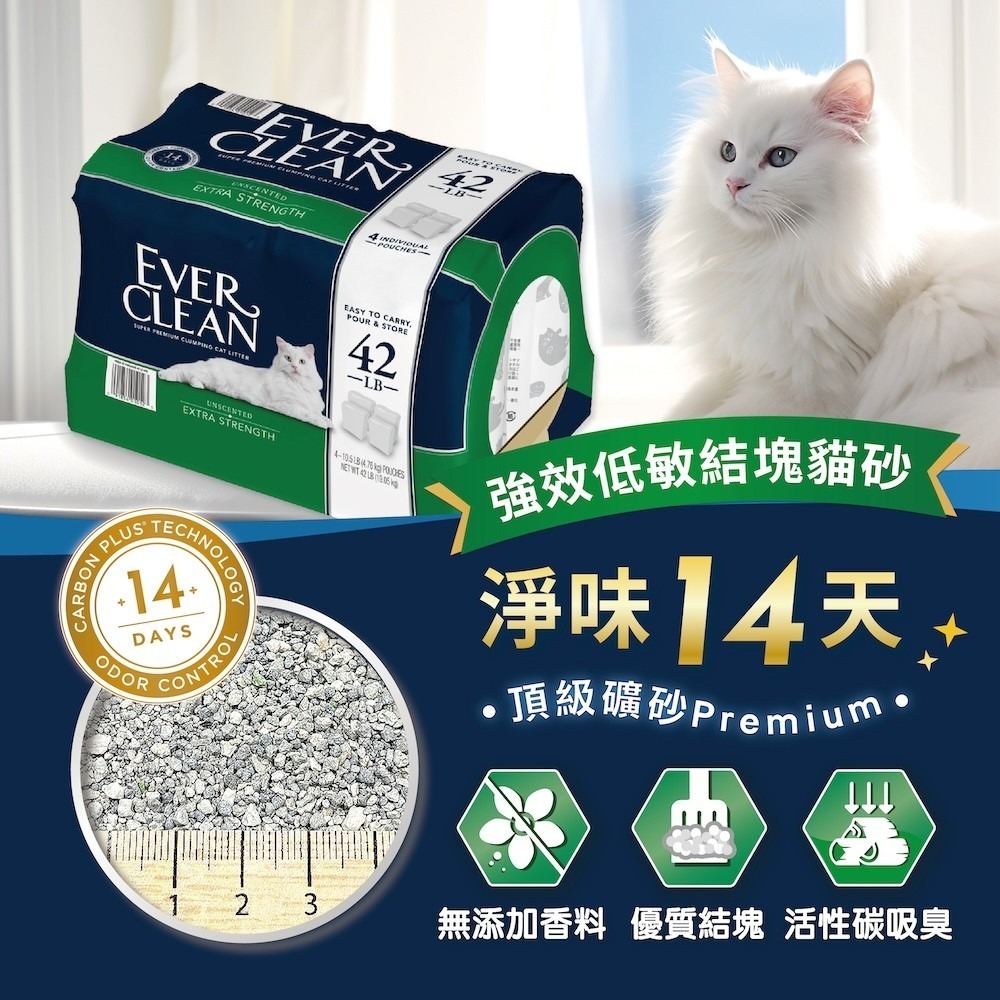 【EverClean 藍鑽】 強效低敏結塊貓砂無香味 - 42lb-細節圖3