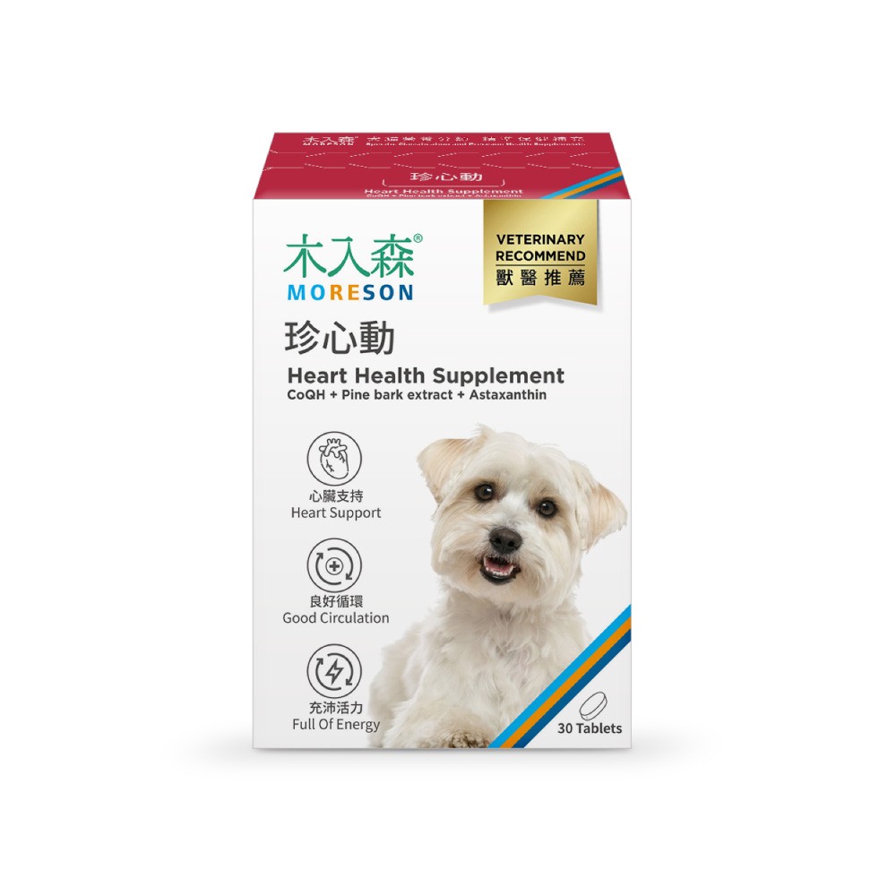 【木入森】犬寶珍心動-細節圖2
