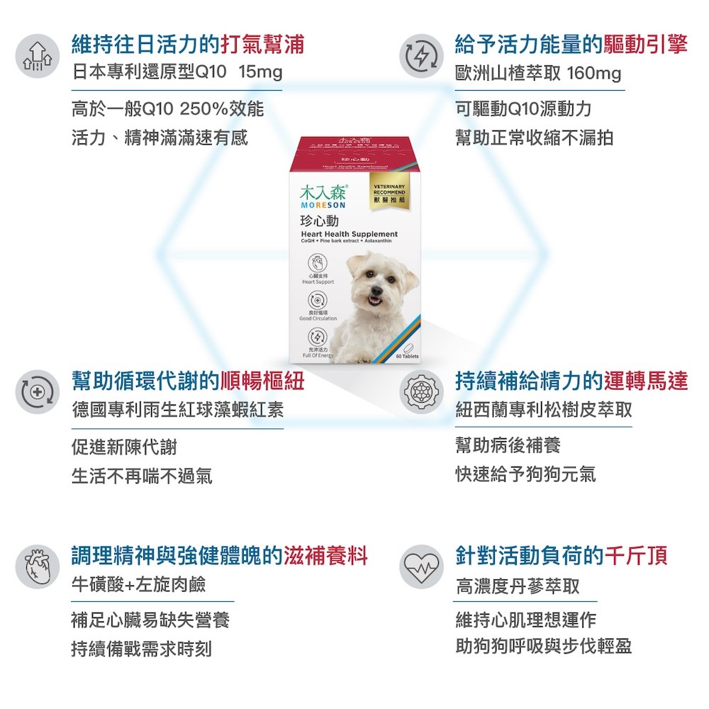 【木入森】犬寶珍心動-細節圖3