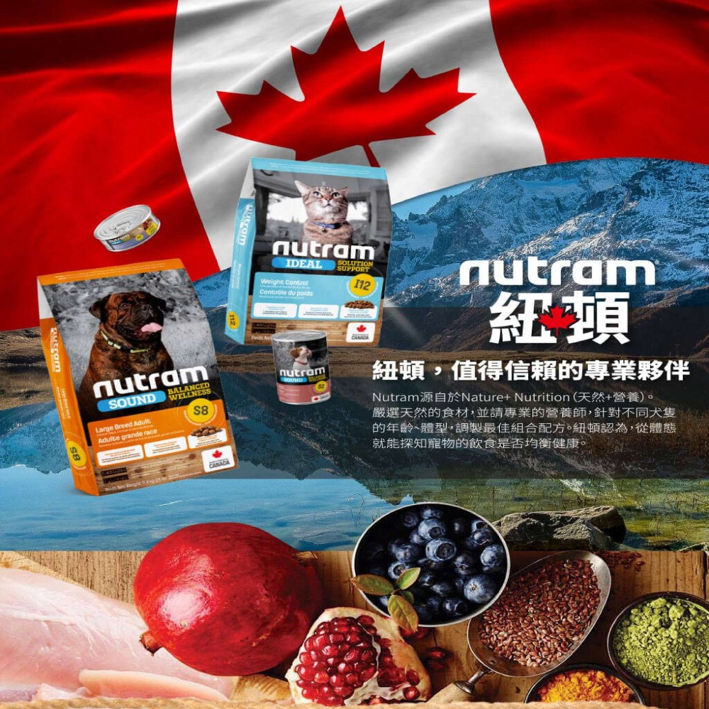 【nutram 紐頓】專業理想系列成貓配方 I12/I17/I19 - 1.13kg-細節圖2