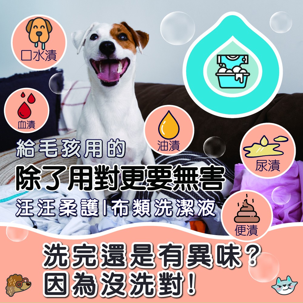 【ODOUT 臭味滾】洗衣精 (狗家庭適用)-細節圖3