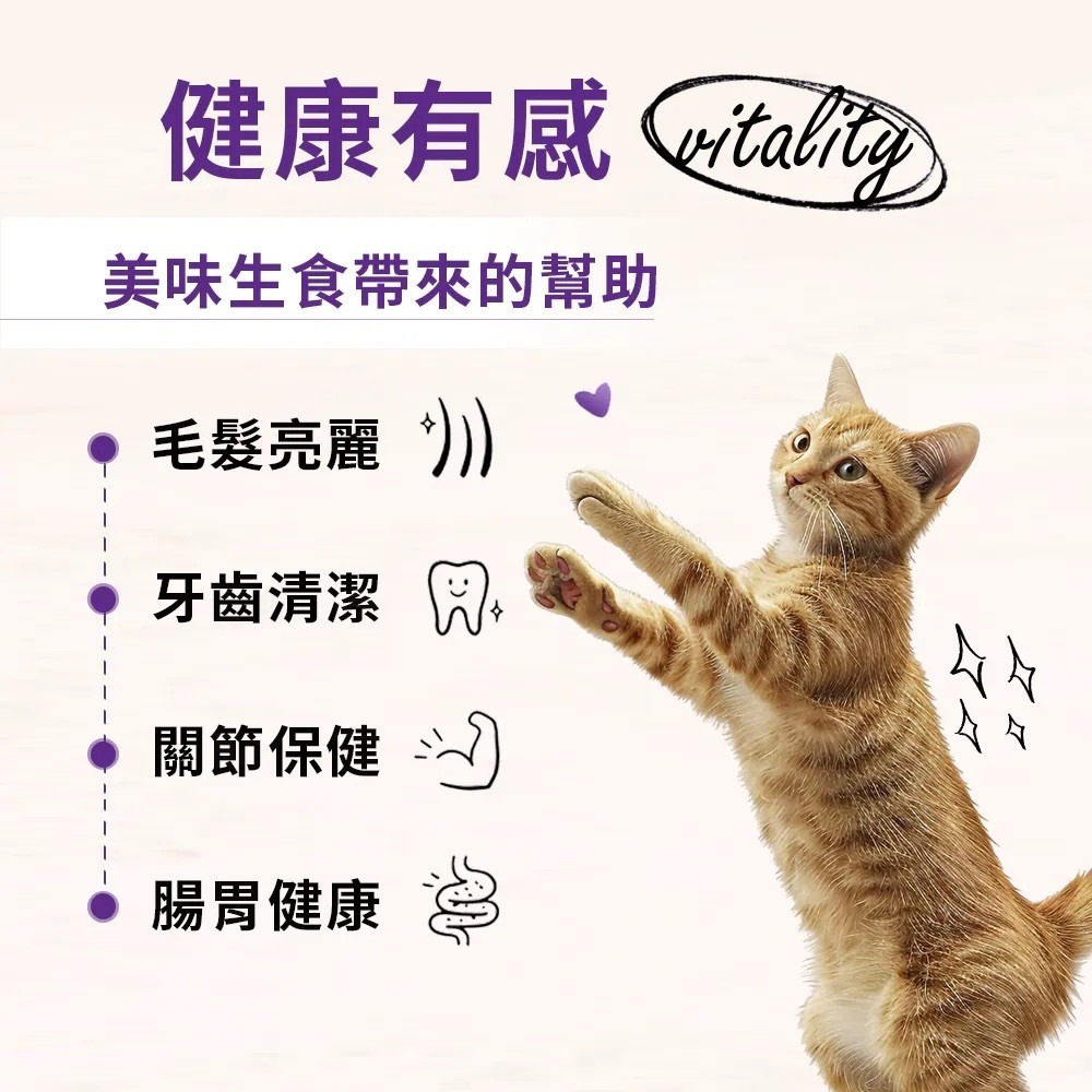 Stella&Chewy星益生趣 凍乾塗層無穀貓糧 生鮮鮭魚配方-細節圖5