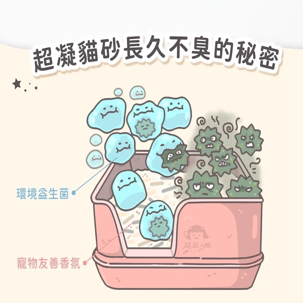【超凝小姐】 益生菌除臭豆腐砂-米粒型 - 2.7kg-細節圖3