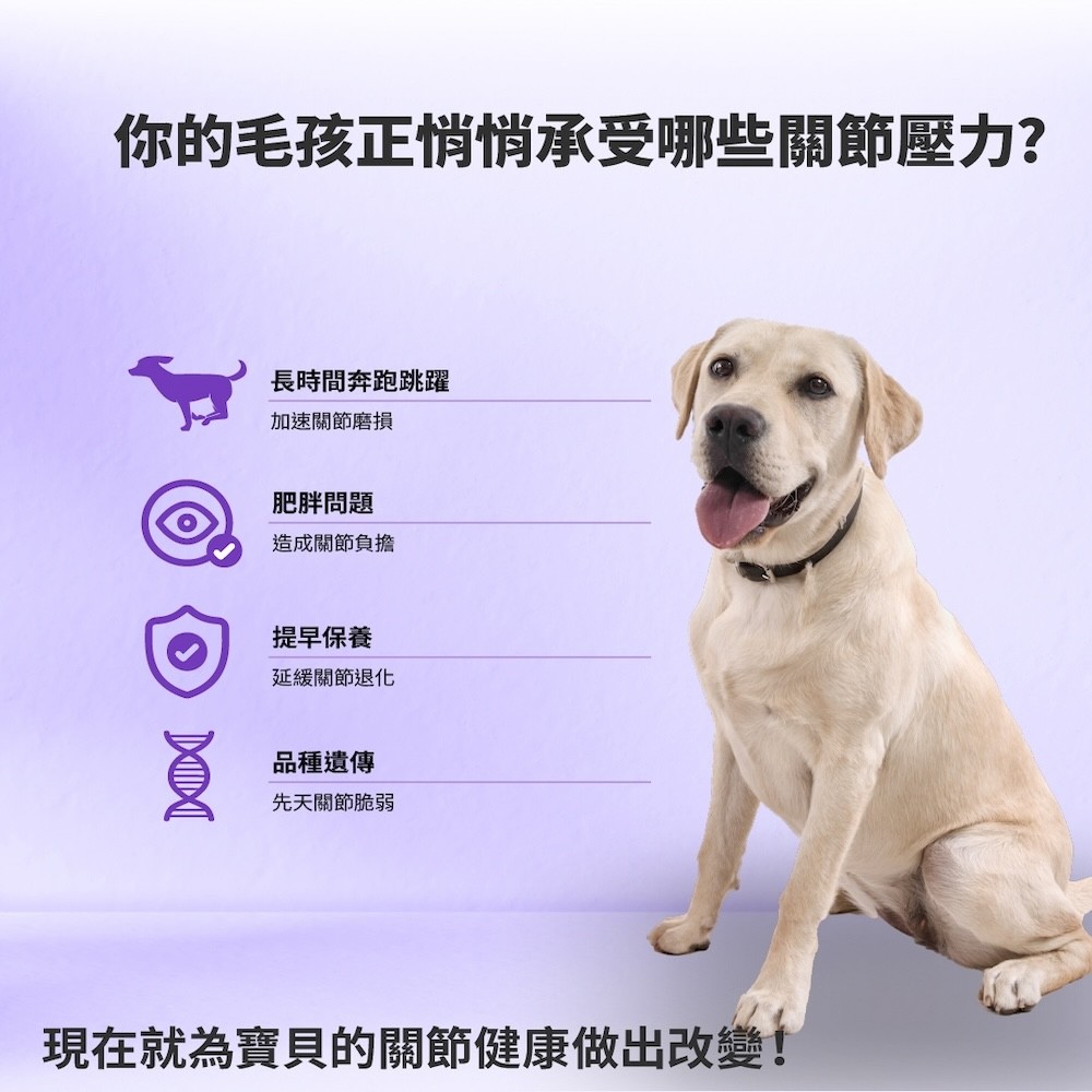 【GOMO PET FOOD】機能無穀低敏犬乾糧 關節護動 成犬無穀高纖關節配方-細節圖3