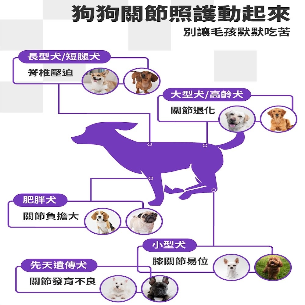 【GOMO PET FOOD】機能無穀低敏犬乾糧 關節護動 成犬無穀高纖關節配方-細節圖6