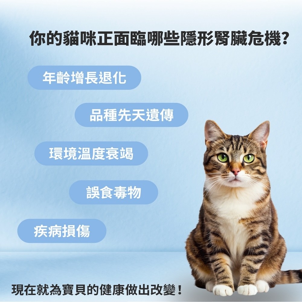 【GOMO PET FOOD】 機能無穀低敏系列貓乾糧-細節圖3