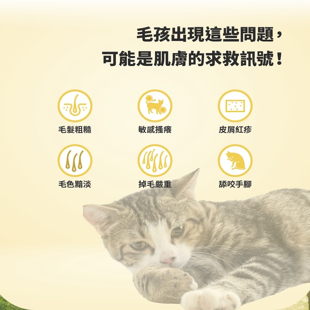 【GOMO PET FOOD】 機能無穀低敏系列貓乾糧-細節圖6