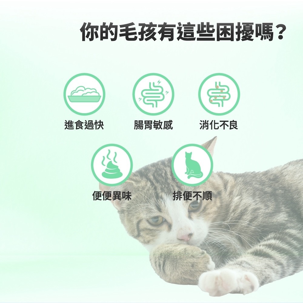 【GOMO PET FOOD】 機能無穀低敏系列貓乾糧-細節圖9