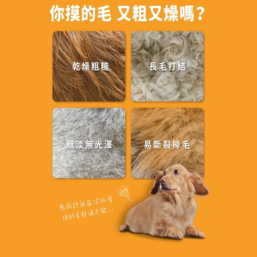 【怪獸部落】閃亮魚油-細節圖3