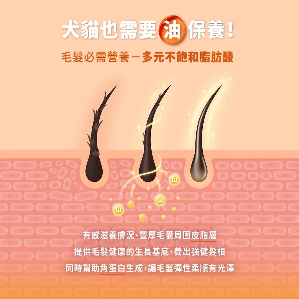 【怪獸部落】閃亮魚油-細節圖4