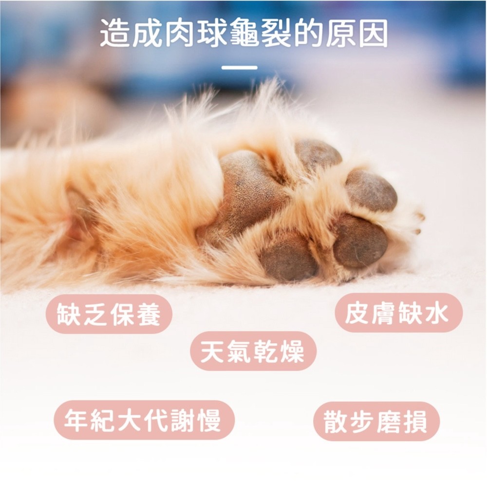 【黃金盾】寵物肉球護理霜 - 30ml-細節圖3