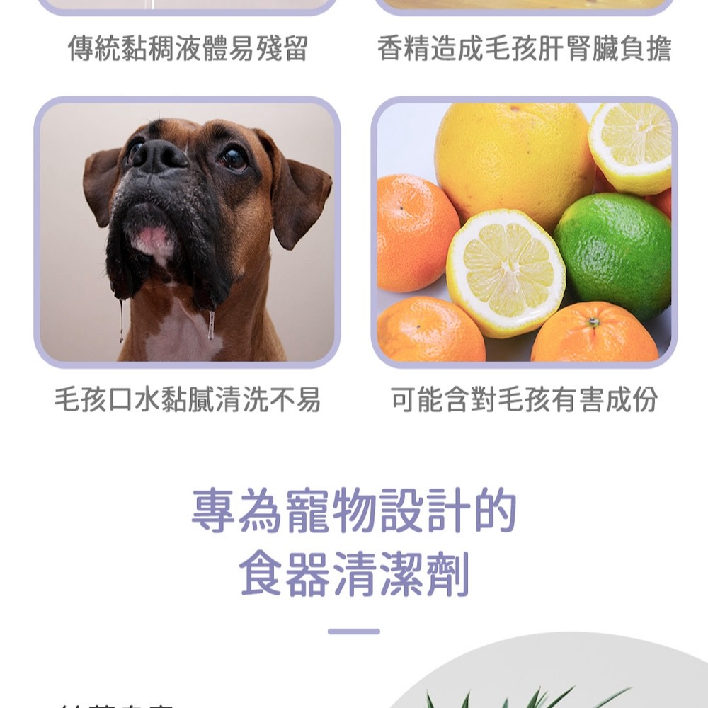 【黃金盾】寵物食器專用洗滌慕斯 - 500ml-細節圖4
