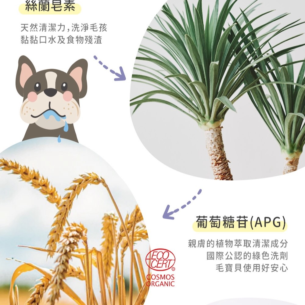 【黃金盾】寵物食器專用洗滌慕斯 - 500ml-細節圖5