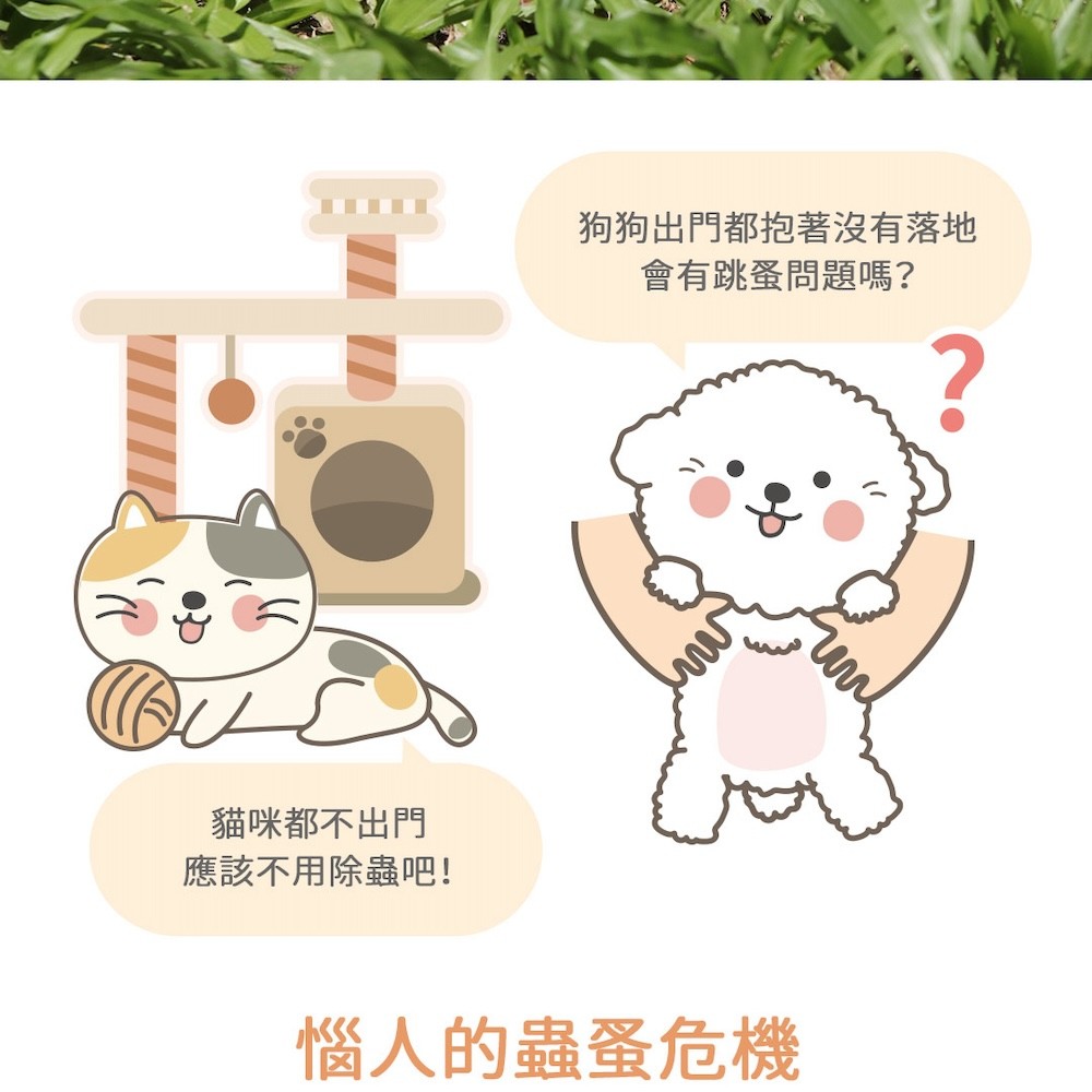 【黃金盾】寵物蚤蚤防護噴霧 - 250ml-細節圖3
