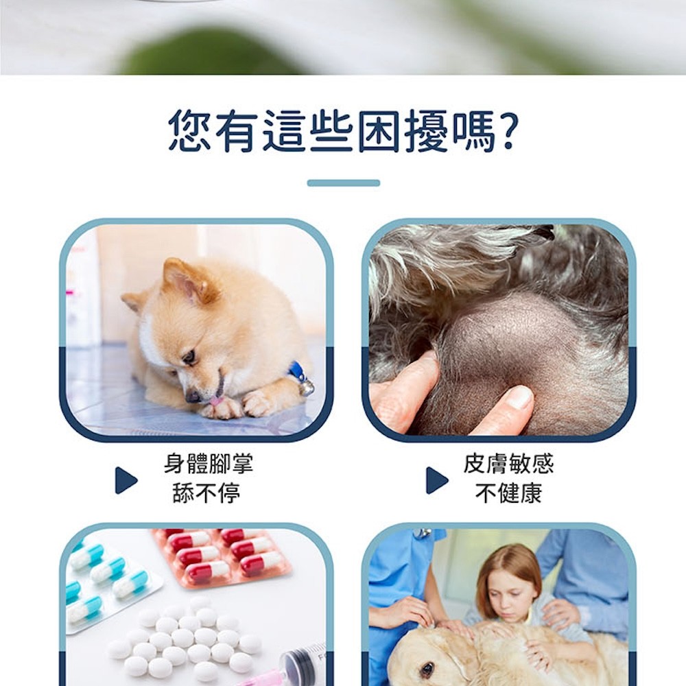 【黃金盾】寵物傷口潔療噴劑 - 100ml-細節圖3