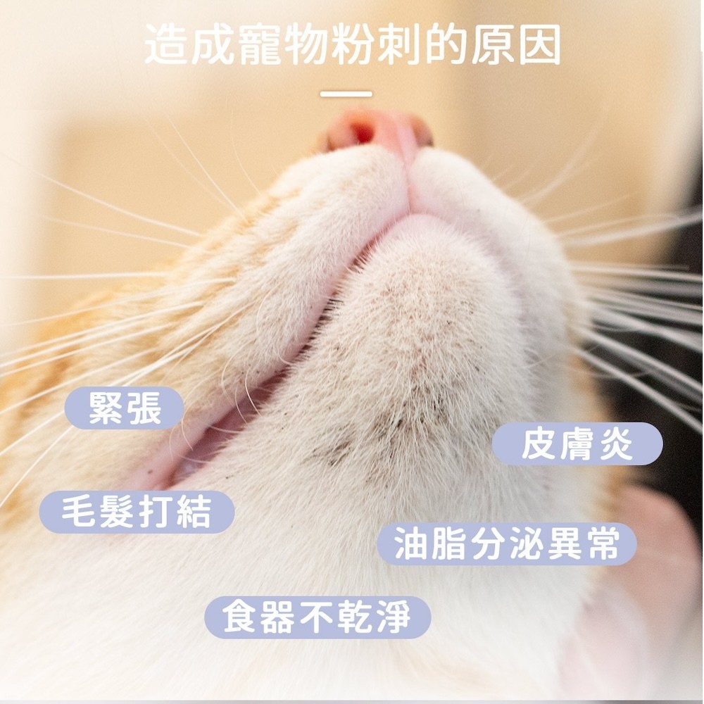 【黃金盾】寵物潔顏乾洗慕斯 - 50ml-細節圖4