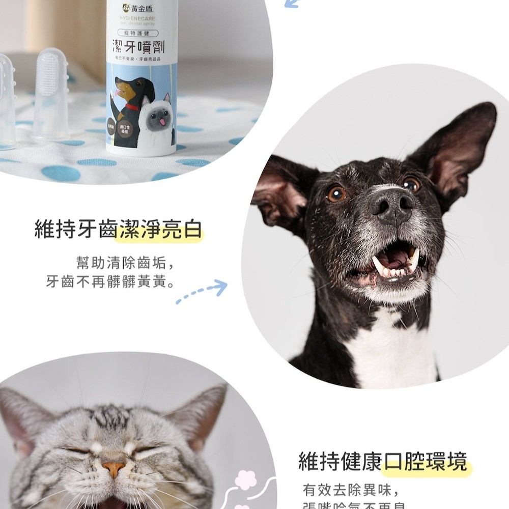 【黃金盾】寵物護健潔牙噴劑 - 100ml-細節圖6