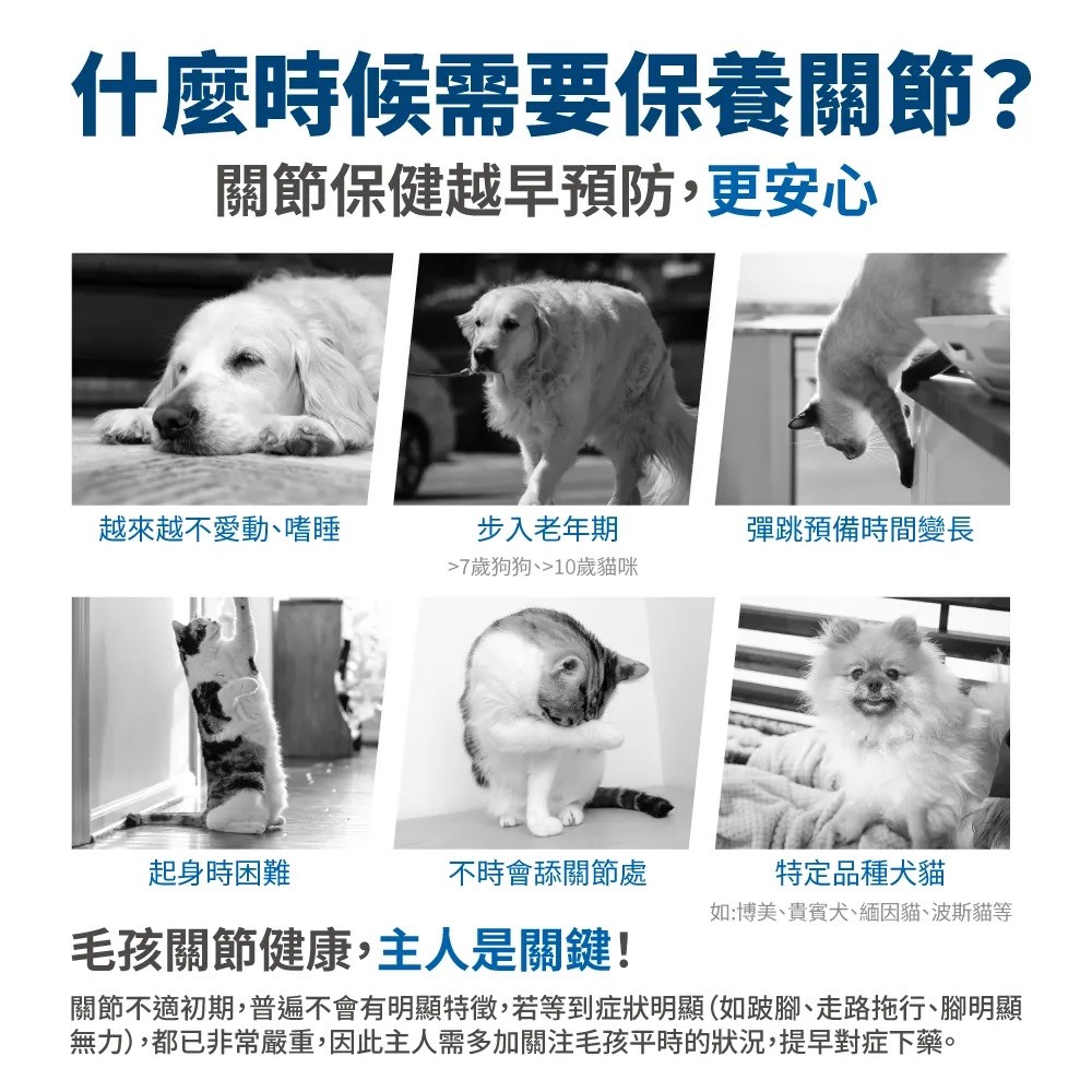 【毛掌醫學】護關節 保健肉泥 | 寵物關節保健 貓狗適用 - 6g*30-細節圖2