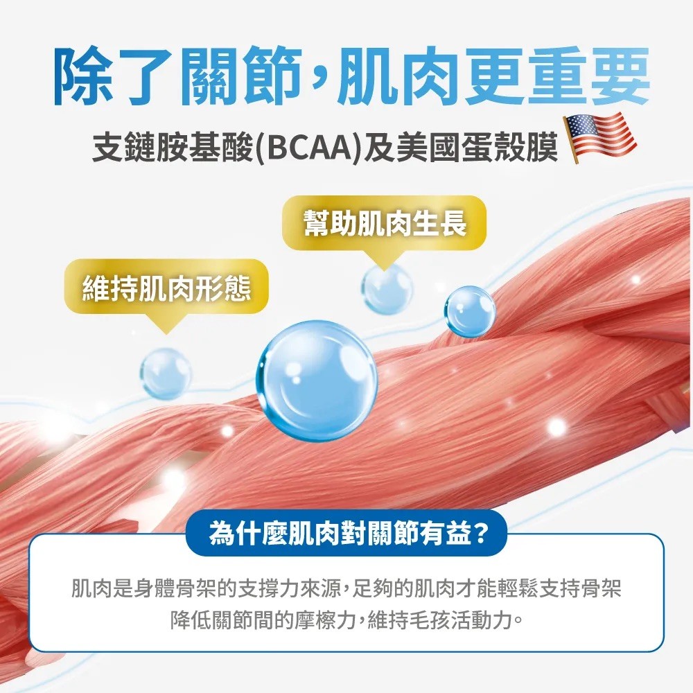 【毛掌醫學】護關節 保健肉泥 | 寵物關節保健 貓狗適用 - 6g*30-細節圖8