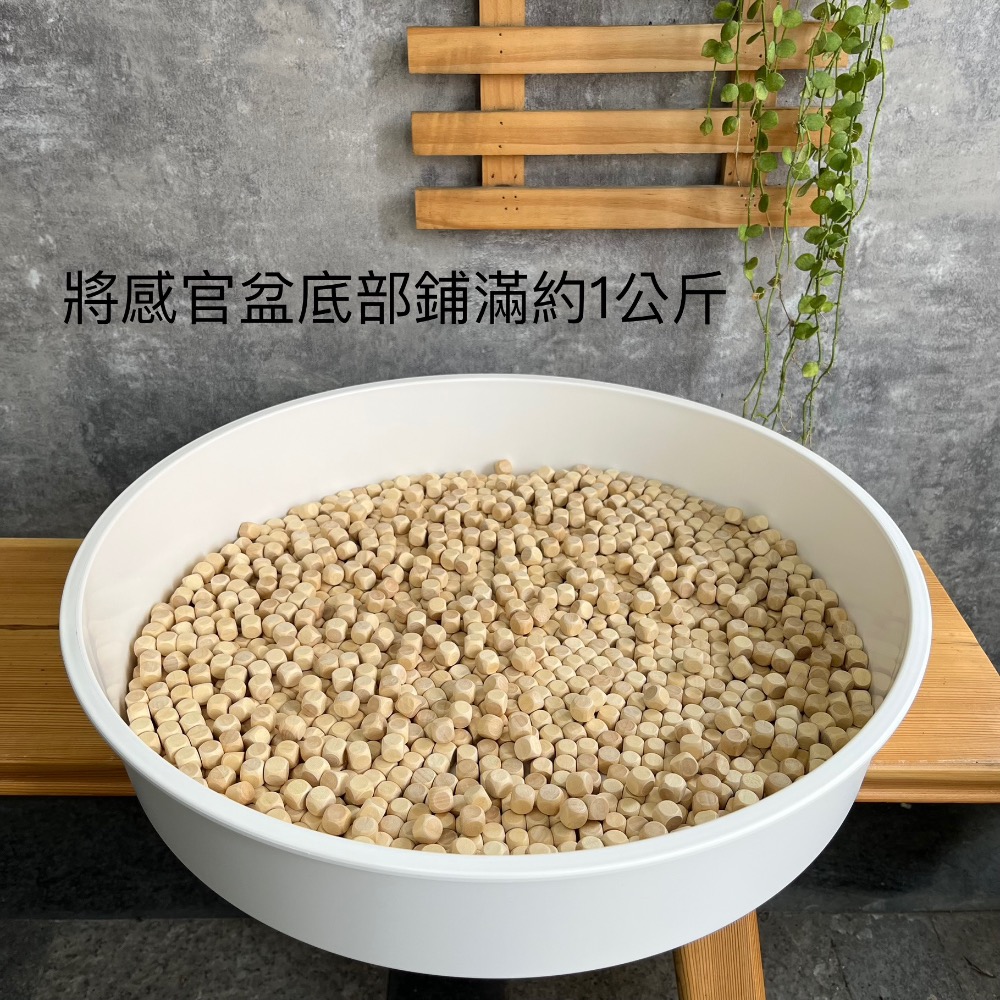 10mm荷木粒｜感官材料｜感官教材-細節圖3