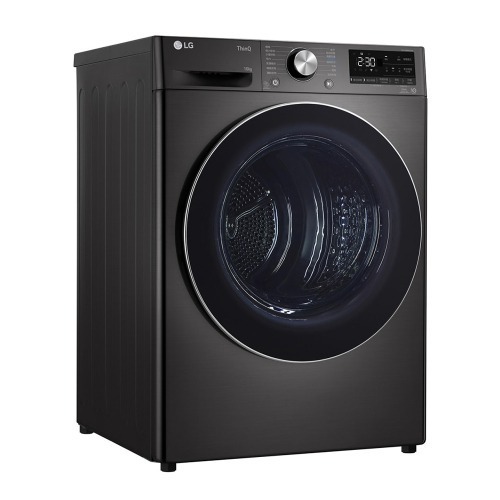 LG 樂金 10公斤 雙迴轉變頻免曬衣乾衣機｜尊爵黑 WR-100VB (含基本安裝)-細節圖2