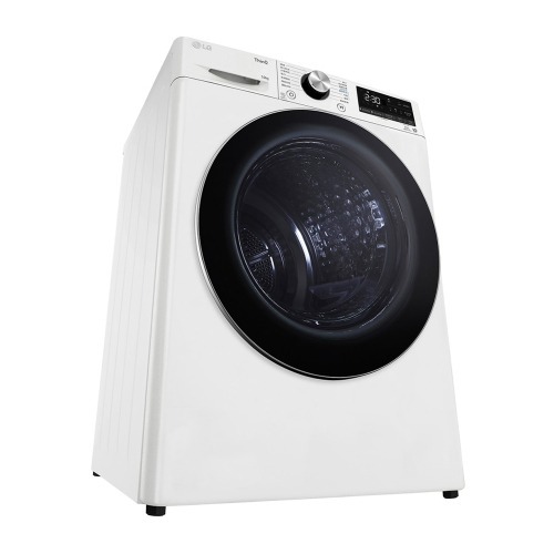 LG 樂金 10公斤 雙迴轉變頻免曬衣乾衣機｜冰瓷白 WR-100VW (含基本安裝)-細節圖2