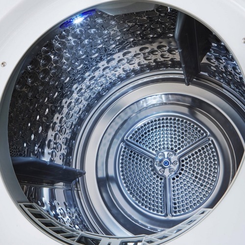 LG 樂金 10公斤 雙迴轉變頻免曬衣乾衣機｜冰瓷白 WR-100VW (含基本安裝)-細節圖6