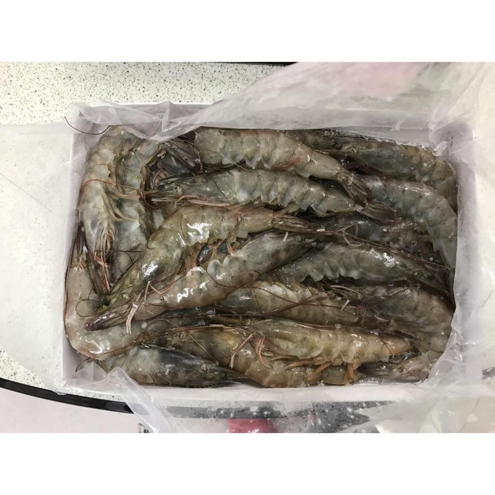 【於晨食食材批發】東南亞活凍大白蝦 500g±10%/盒 不限品牌 圖片僅供參考 歡迎餐廳 團媽 批發 團購-細節圖2