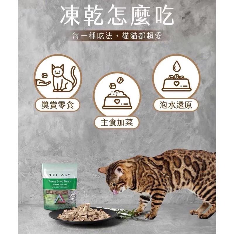 奇境 羅姆尼羊肺原肉凍乾 羊肺凍乾 100%原肉 貓凍乾 貓零食 50g 【QQ毛寵物】-細節圖5