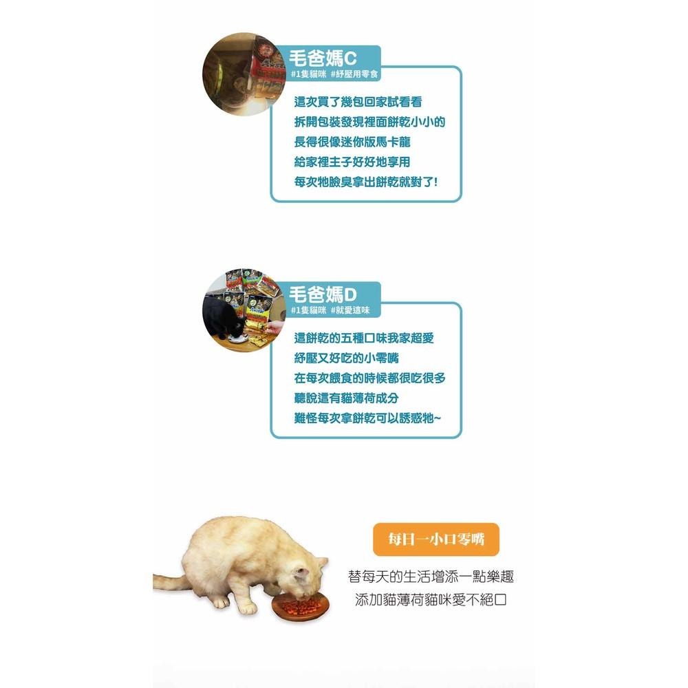 Astar 貓薄荷夾心餡餅 單支 20g 貓薄荷零食 A star 薄荷夾心餡餅 貓零食【QQ毛寵物】-細節圖4