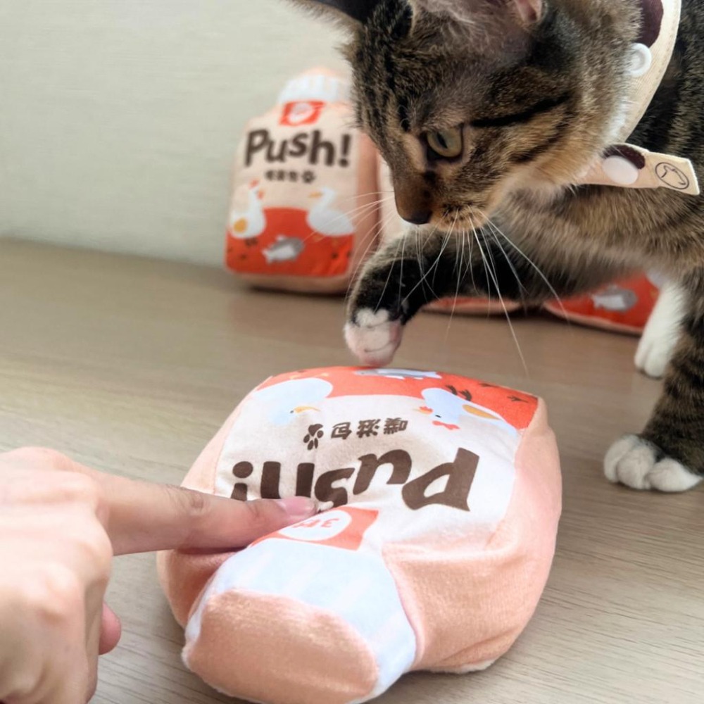 噗滋紓壓包 PUSH 噗滋包 玩具 貓草玩具 超濃郁貓草包 【QQ毛寵物】-細節圖2
