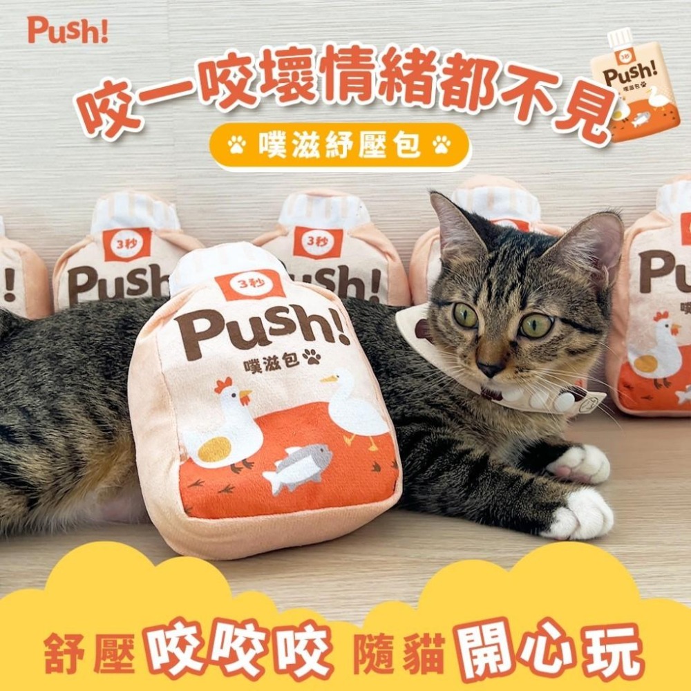 噗滋紓壓包 PUSH 噗滋包 玩具 貓草玩具 超濃郁貓草包 【QQ毛寵物】-細節圖3