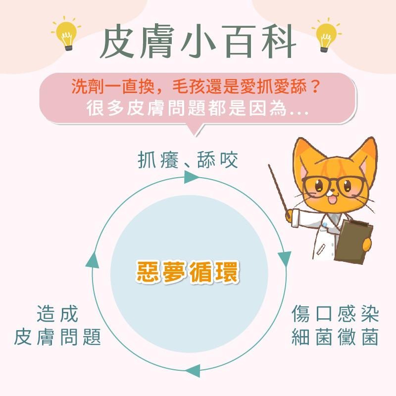 歸毛家族 修護霜 精萃修護霜 20ml 博士權威 精萃營養霜 修復霜 【QQ毛寵物】-細節圖4