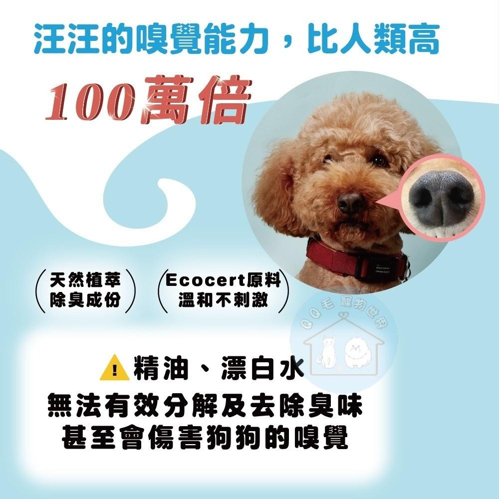 臭味滾 貓用除臭抑菌噴霧 狗用除臭噴霧 貓咪除臭 狗狗除臭 除臭噴霧 貓咪除臭 【QQ毛寵物】-細節圖2
