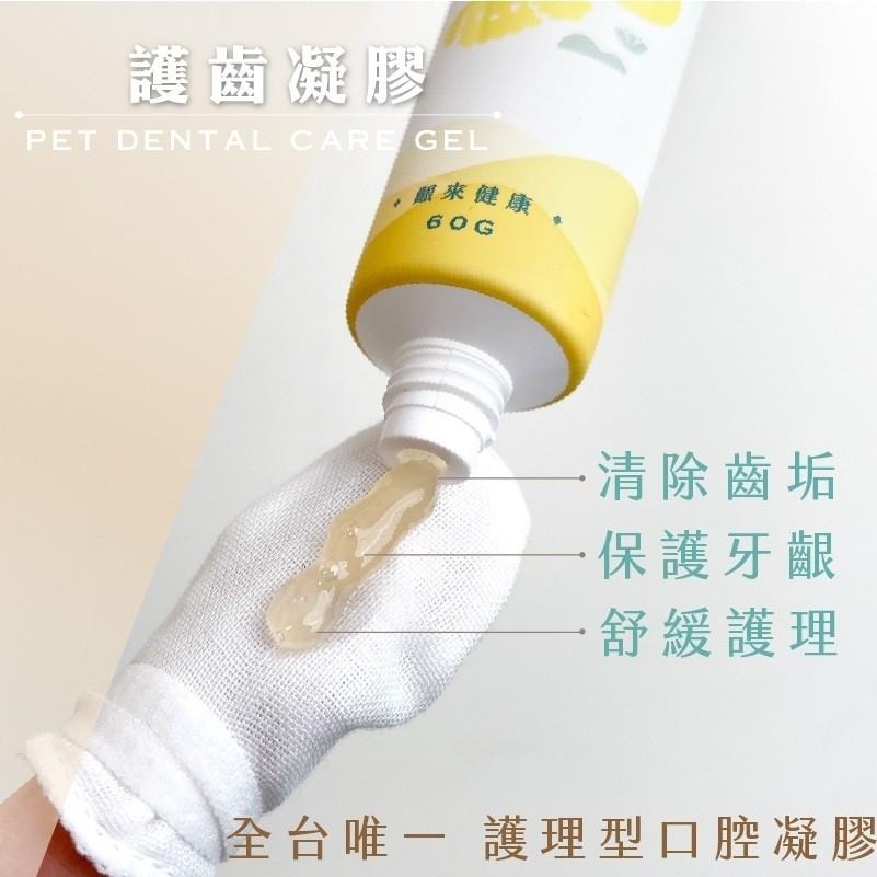 【歸毛家族】 寵物一口好牙 齒留香益菌口腔液 齒留香益菌口腔液 齦來健康護齒凝膠 撸齒這斑潔牙套 【QQ毛寵物】-細節圖2