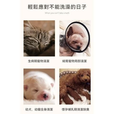 Amo Petric 手套 寵物手套 藍絲柏寵物SPA免洗手套 7片/盒 犬貓 寵物擦澡手套 乾洗澡 【QQ毛寵物】-細節圖3