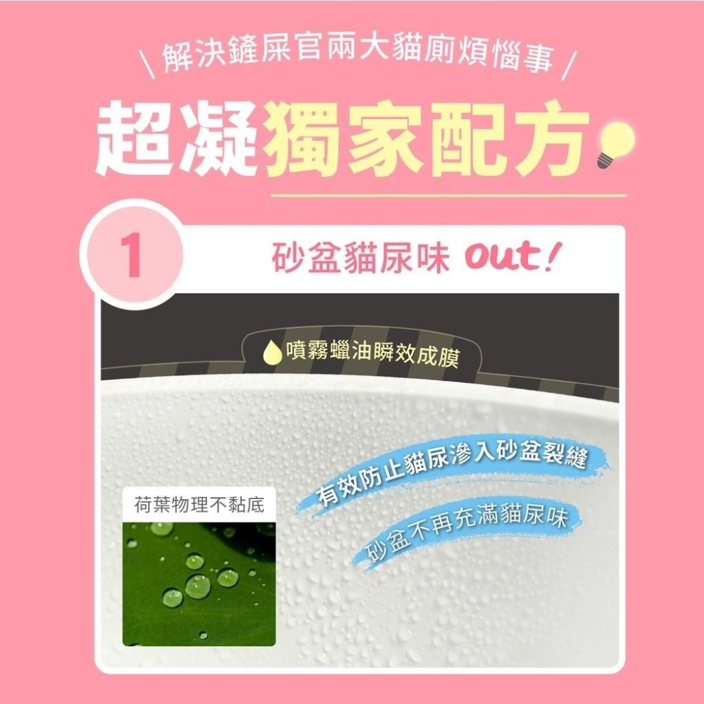 超凝小姐 貓砂噴霧 不沾黏貓砂盆噴霧 150ml 貓砂除臭 快速清潔 不沾黏噴霧 貓砂盆噴霧 【QQ毛寵物】-細節圖6