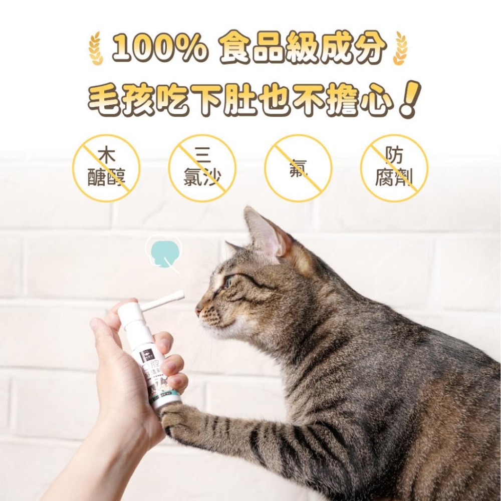 汪喵星球 潔牙護理酵素 犬貓 潔牙護理 汪喵 噴劑型 犬貓潔牙 潔牙噴霧 口腔噴霧 【QQ毛寵物】-細節圖6