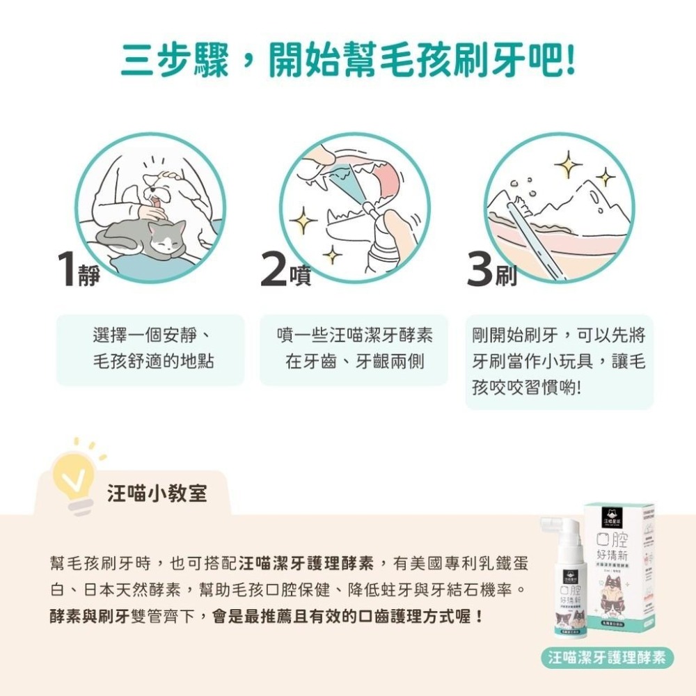 汪喵星球 汪喵牙刷 犬貓專用牙刷(細軟毛) 寵物專用牙刷 貓牙刷 犬牙刷 纖細軟毛 【QQ毛寵物】-細節圖4