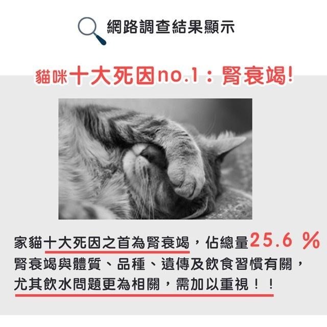 貓樂園 新鮮好喵招 淨水活性碳 飼料保鮮活性碳片 寵物用品 防潮吸臭 飼料保鮮活性碳 【QQ毛寵物】-細節圖2