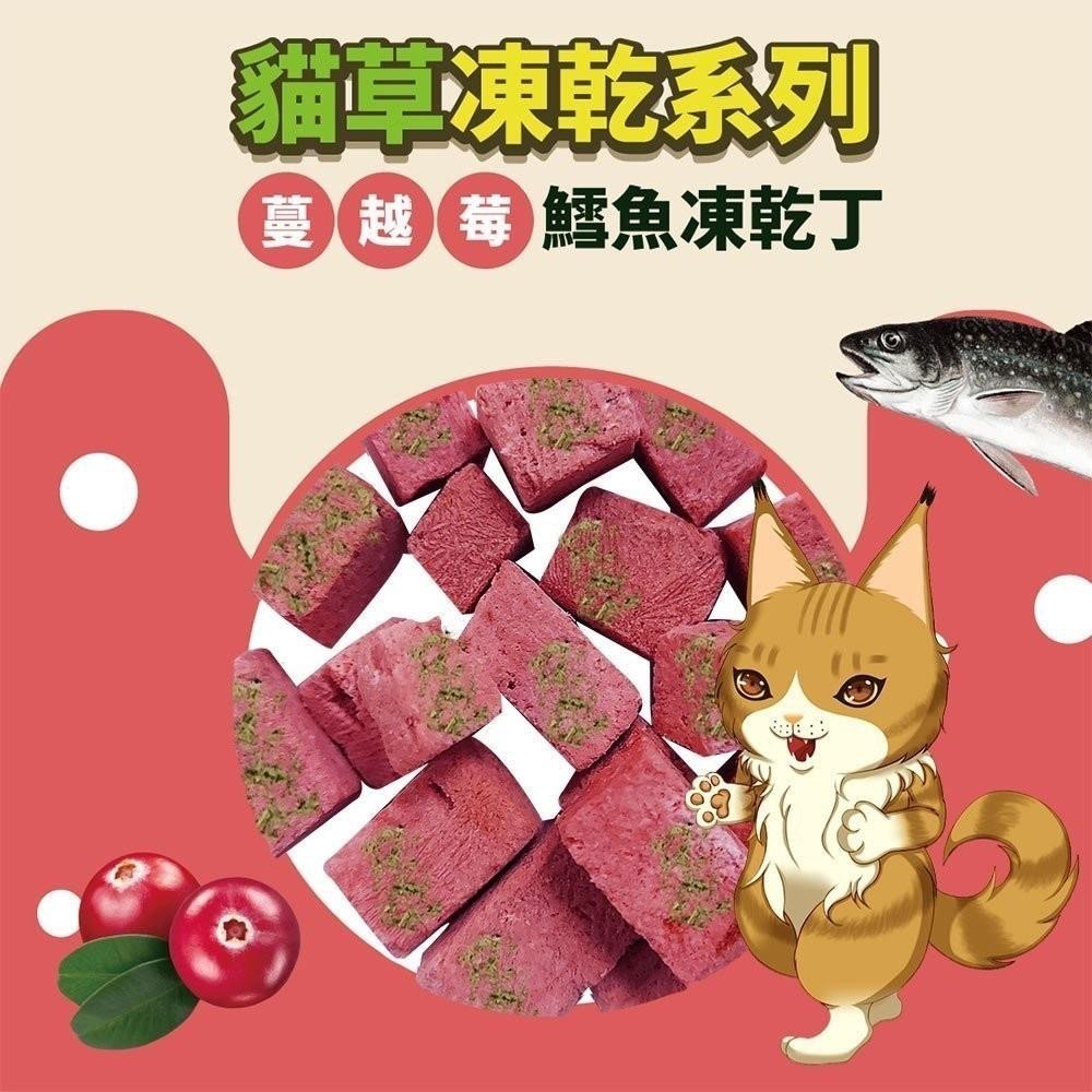 驕傲貓 貓草凍乾丁 凍乾零食  貓咪凍乾 海鮮凍乾 貓咪零食 驕傲貓凍乾 【QQ毛寵物】-細節圖4