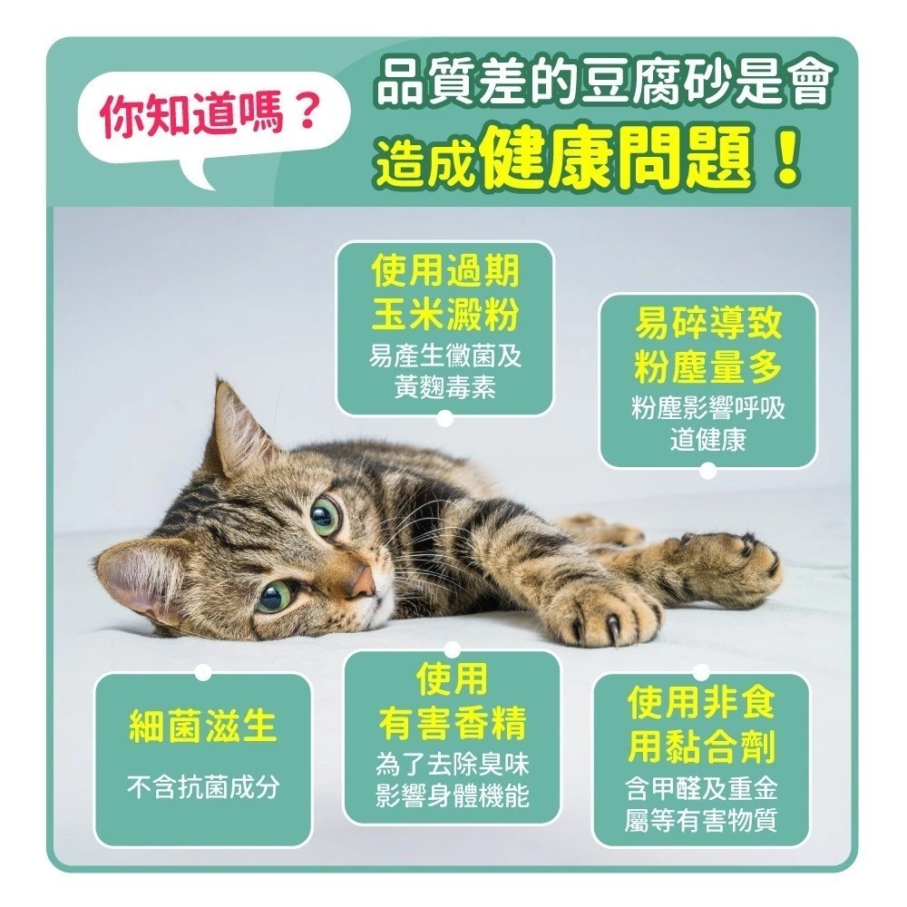 毛孩時代 豆腐砂 貓砂 90%纖維絲蘭豆腐砂 0甲醛強凝結無塵原礦砂 貓砂 毛孩時代貓砂 【QQ毛寵物】-細節圖9