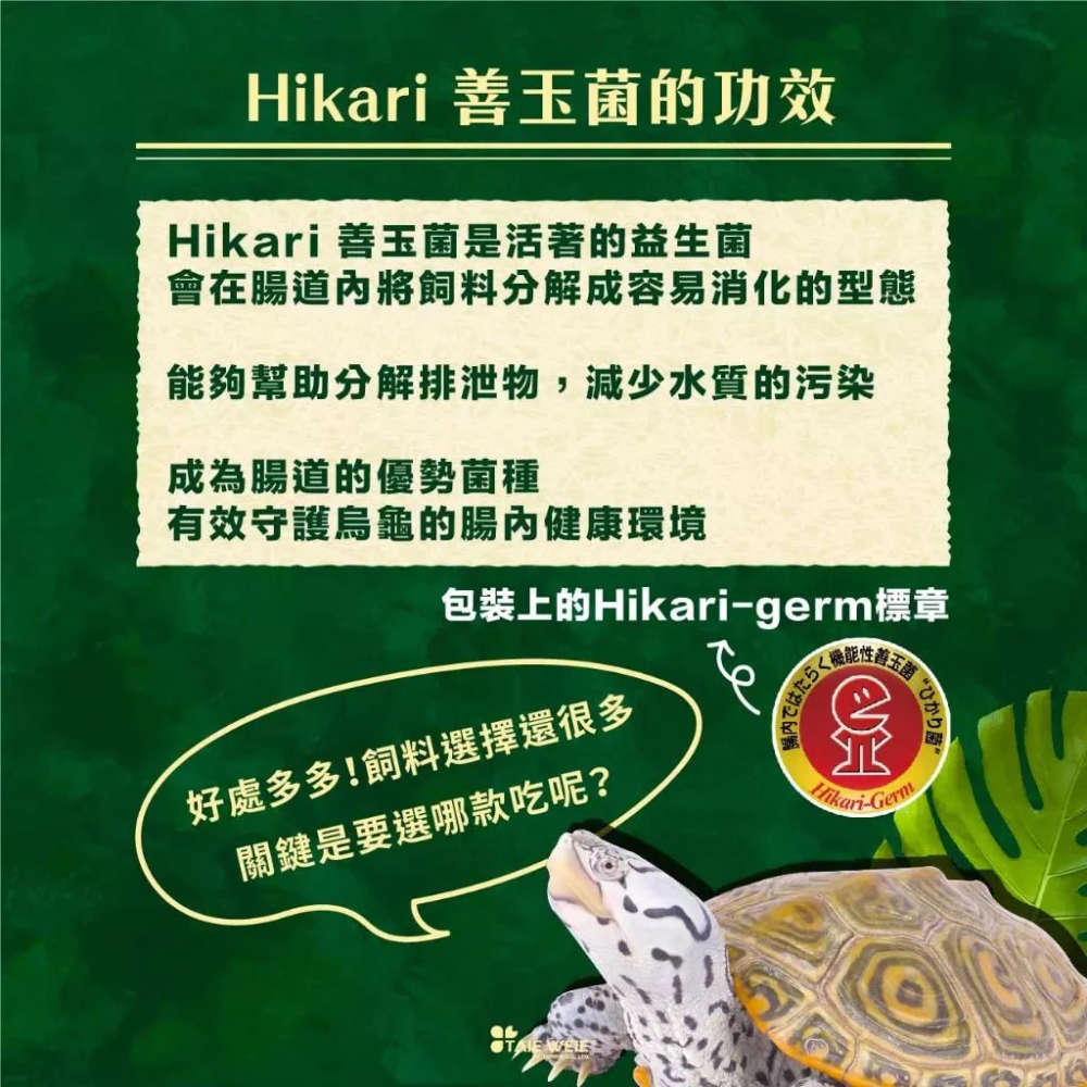 高夠力 櫻花 烏龜飼料 善玉菌烏龜飼料 澤龜 水龜 M浮水 567G飼料澤龜 條狀飼料 主食飼料【QQ毛寵物】-細節圖2