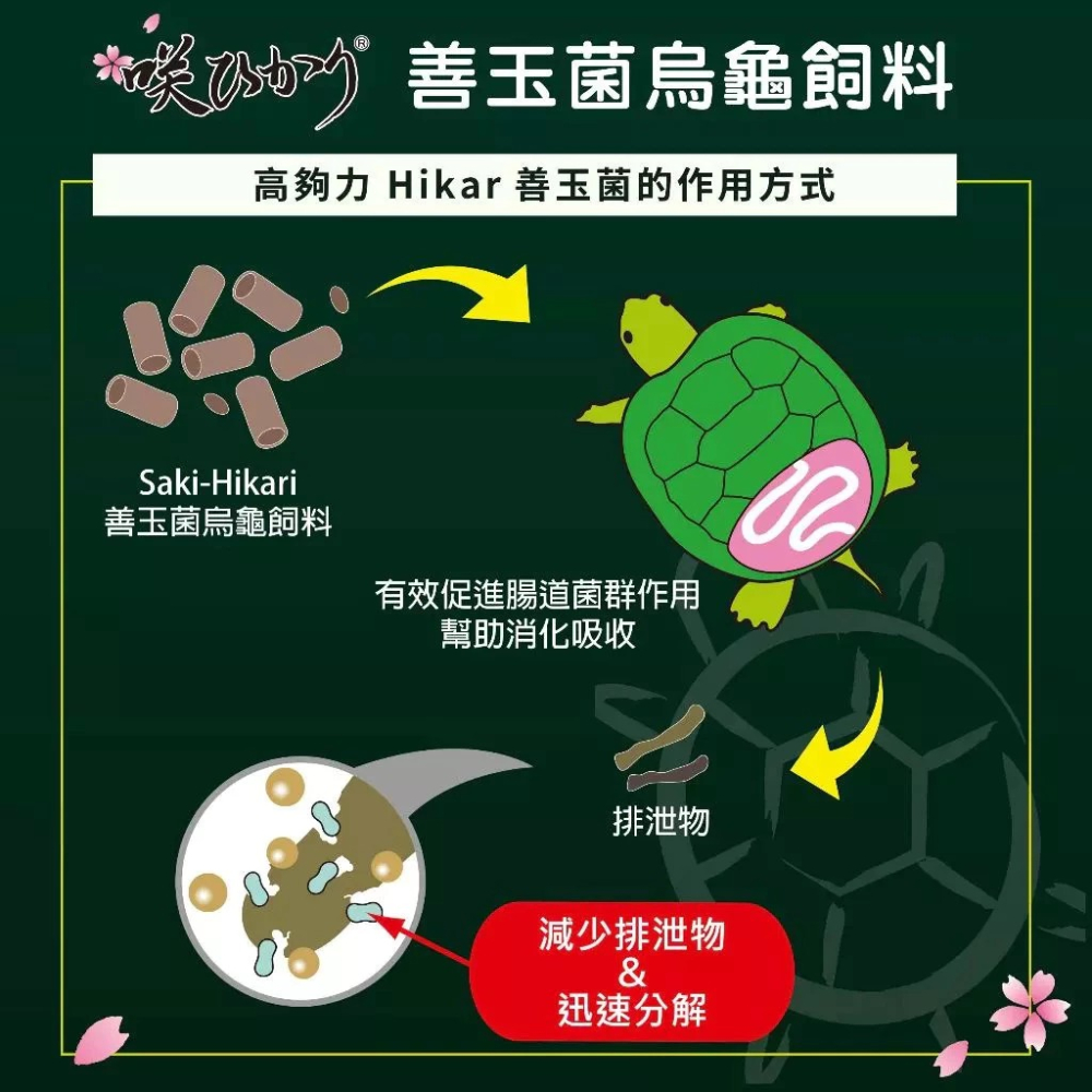高夠力 櫻花 烏龜飼料 善玉菌烏龜飼料 澤龜 水龜 M浮水 567G飼料澤龜 條狀飼料 主食飼料【QQ毛寵物】-細節圖6