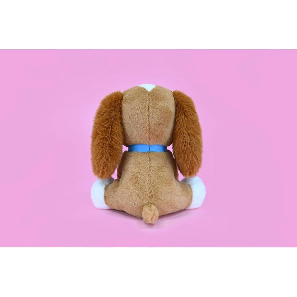 台灣現貨商檢合格（12吋）正版授權迪士尼娃娃 貓狗系列 娜娜狗 小姐 1兒童節禮物聖誕節禮物-細節圖4