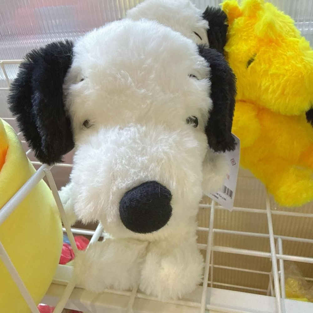 台灣現貨正版授權商檢合格（19cm）史努比 小黃鳥玩偶吊飾 @ 娃娃 背包吊飾 玩偶-細節圖3