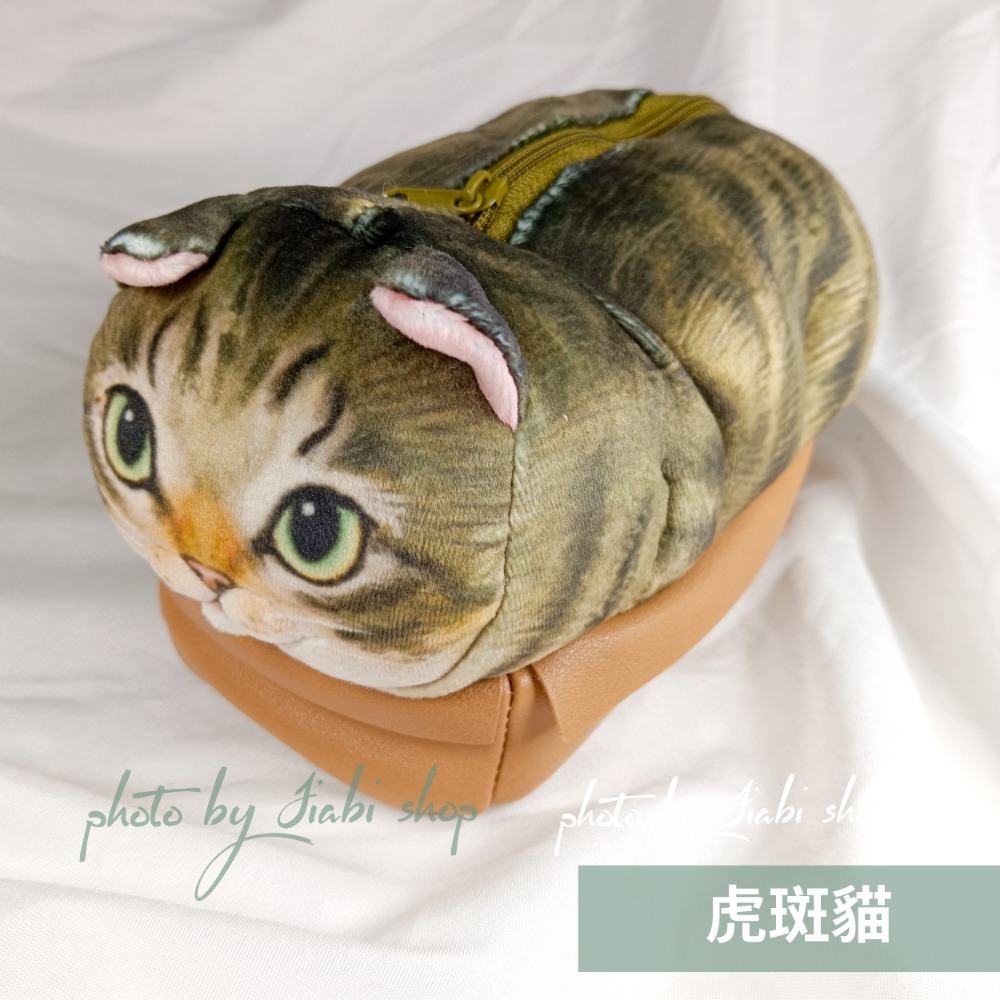 🐈a. 虎斑貓