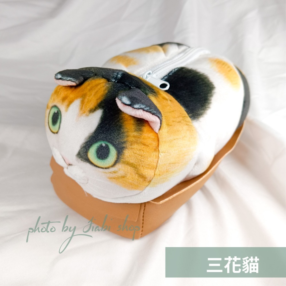 🐈c. 三花貓
