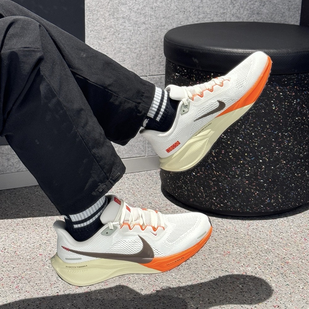 全新正版 NIKE Air Zoom Pegasus 41 小飛馬 慢跑鞋  蛇年限定 男女通用 HV5975-102-細節圖2