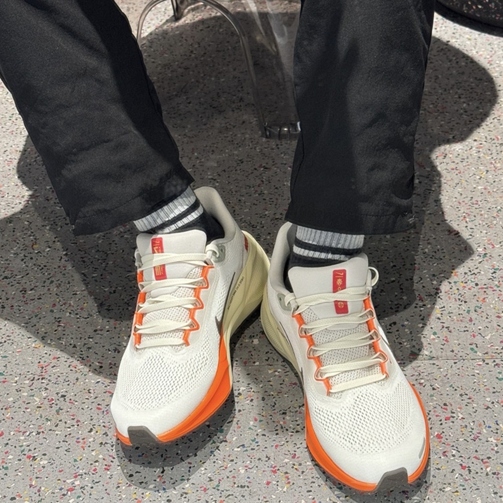 全新正版 NIKE Air Zoom Pegasus 41 小飛馬 慢跑鞋  蛇年限定 男女通用 HV5975-102-細節圖3